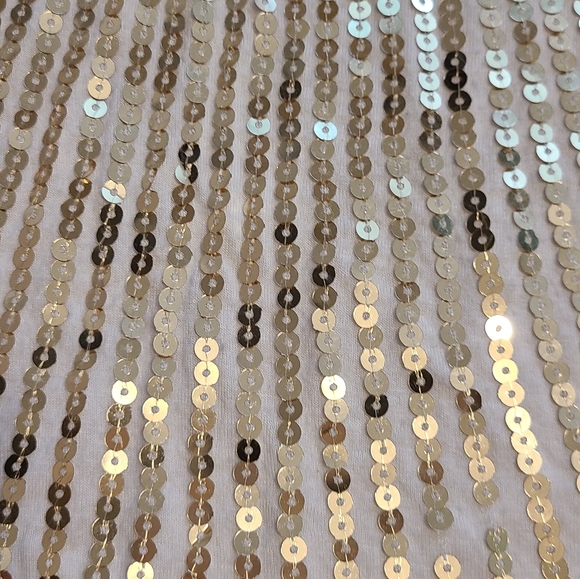 Sequin Tank - Picture 2 of 2